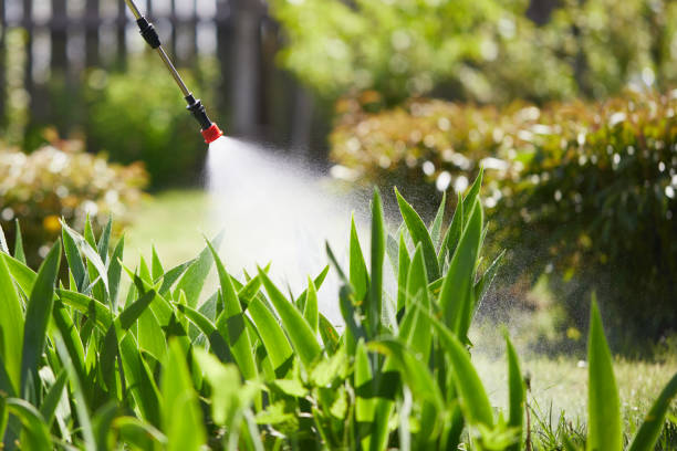 24/7 Emergency Ant Control experts in Alum Rock, CA